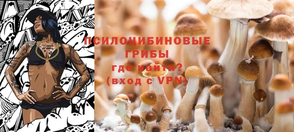 твердый Алексеевка
