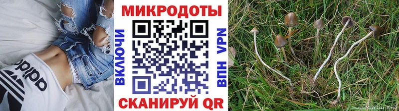 как найти Емва площадка официальный сайт Псилоцибиновые грибы Cubensis